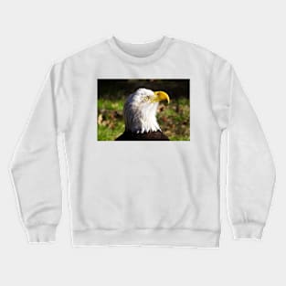 Bald Eagle Crewneck Sweatshirt